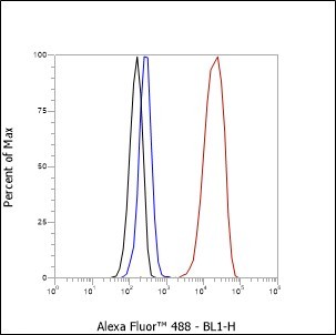Recombinant FOXA1 Monoclonal Antibody - 3