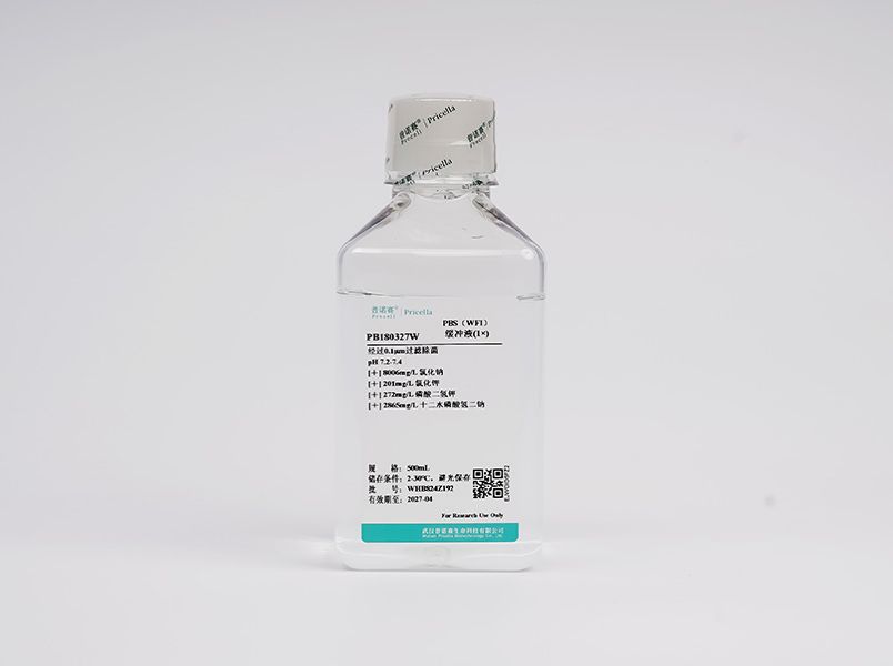 https://789.bio/ec/yemLt5
