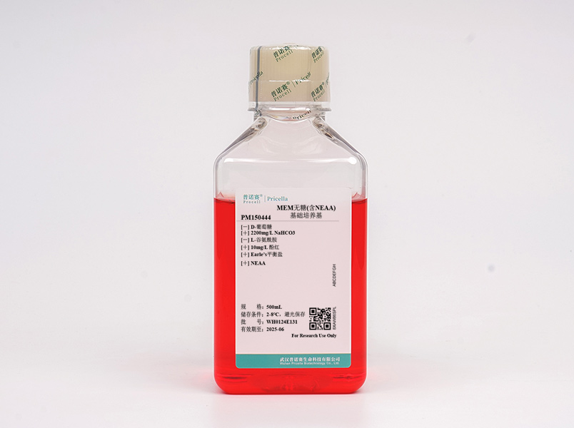 https://789.bio/ec/yeuD8R