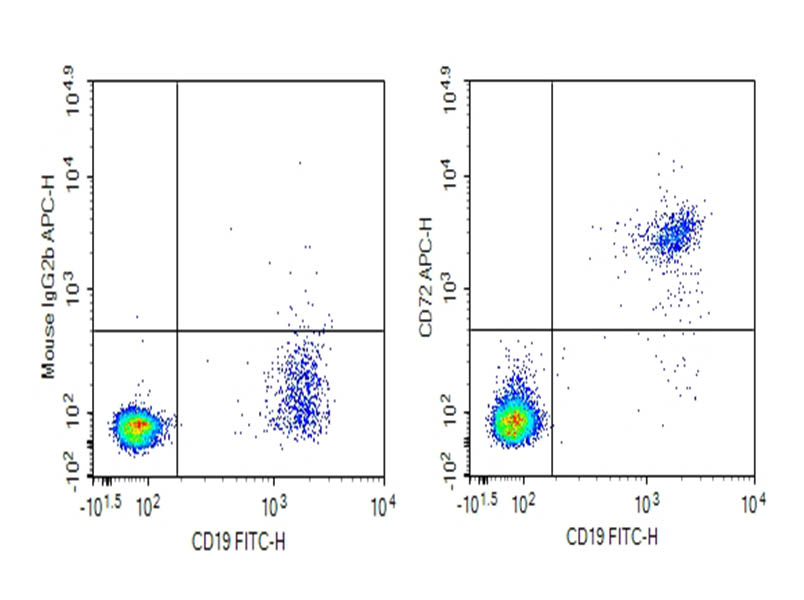 Purified Anti-Human CD72 Antibody[3F3] - 1