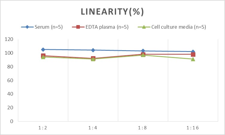 High Sensitivity Mouse TNF-α(Tumor Necrosis Factor Alpha) ELISA Kit-产品推荐-3
