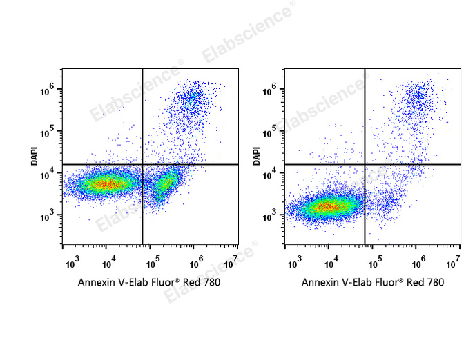 Annexin V-Elab Fluor® Red 780/DAPI Apoptosis Kit-1