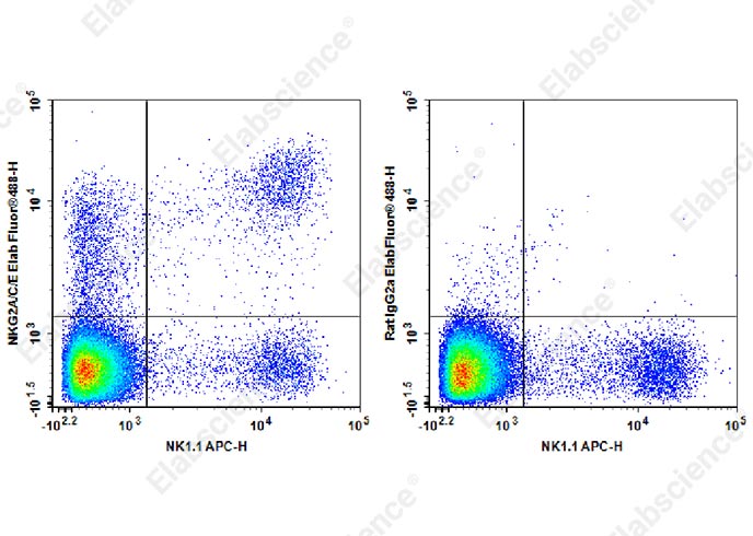 Elab Fluor® 488 Anti-Mouse NKG2A/C/E Antibody[20d5]-1