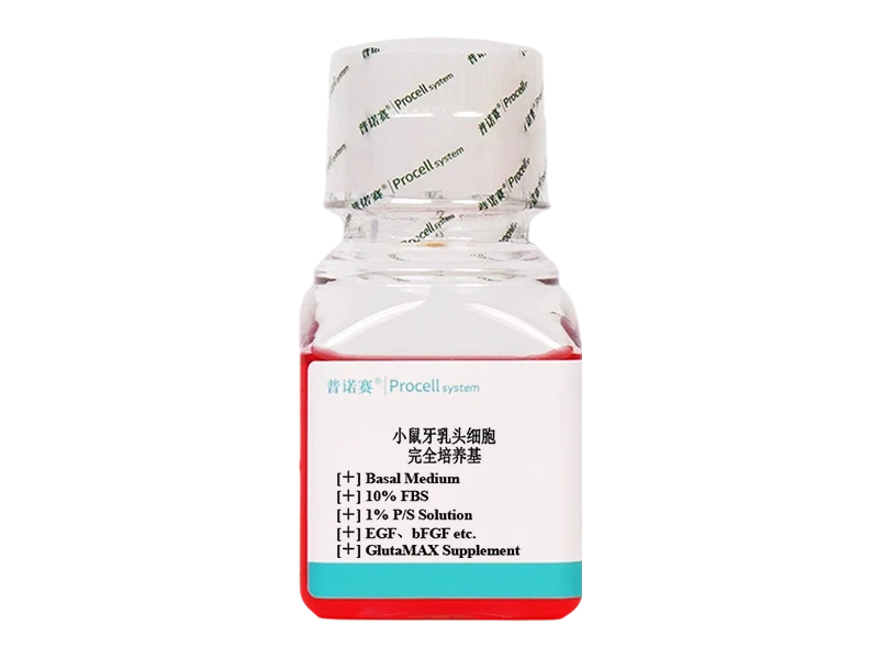 https://789.bio/ec/yiqySXgw