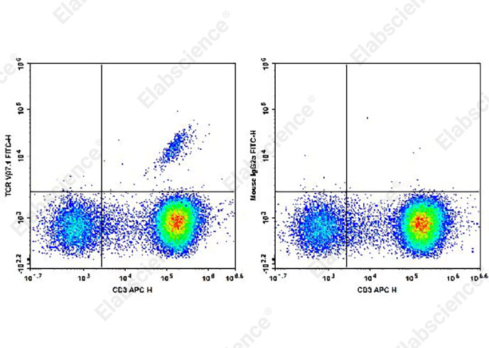 FITC Anti-Human TCR Vβ7.1 Antibody[ZOE5.1]-1
