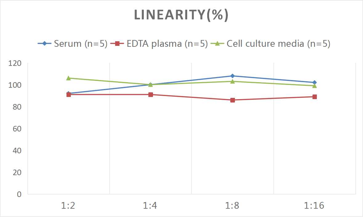 Rat IL-1β(Interleukin 1 Beta) ELISA Kit-1