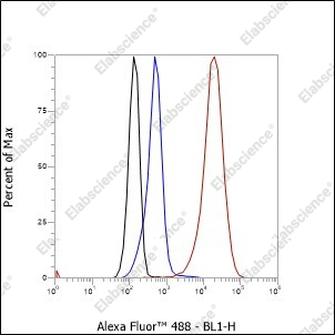 Recombinant Phospho-BTK (Tyr551) Monoclonal Antibody - 1