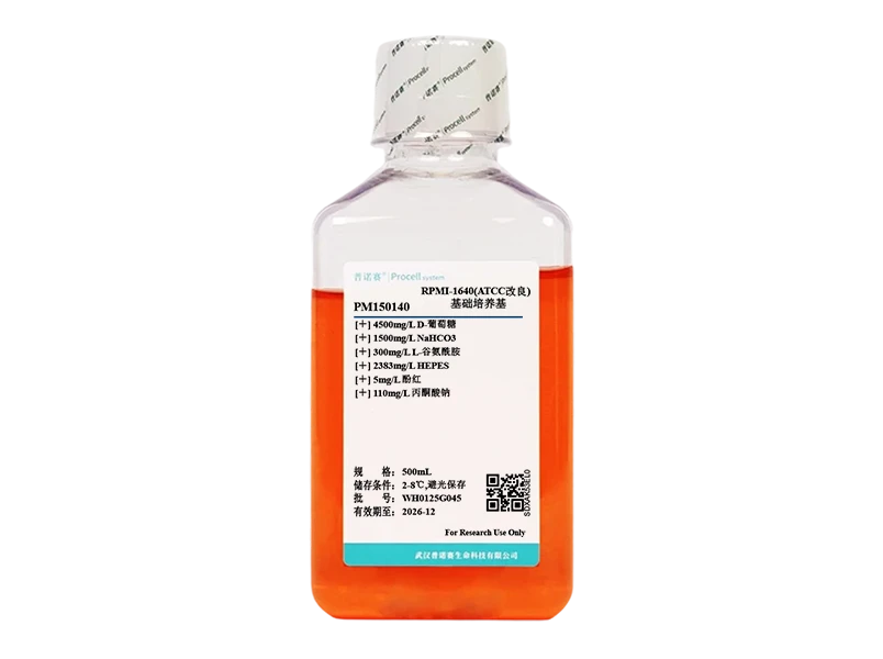 https://789.bio/ec/yt1TXvC4