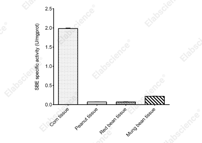 Starch Branching Enzyme (SBE) Activity Colorimetric Assay Kit - 1