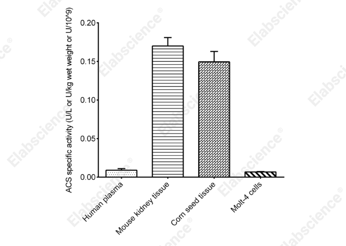 Acyl-CoA Synthetase (ACS) Activity Colorimetric Assay Kit - 2