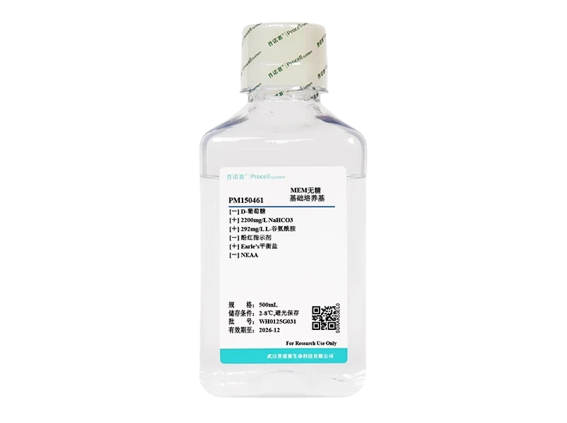 https://789.bio/ec/yvM3so7e
