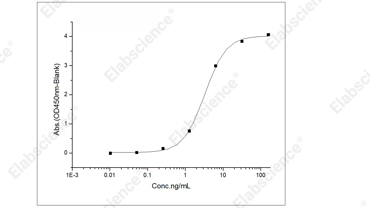 Recombinant Human CEACAM6/CD66c Protein (His Tag) - 2