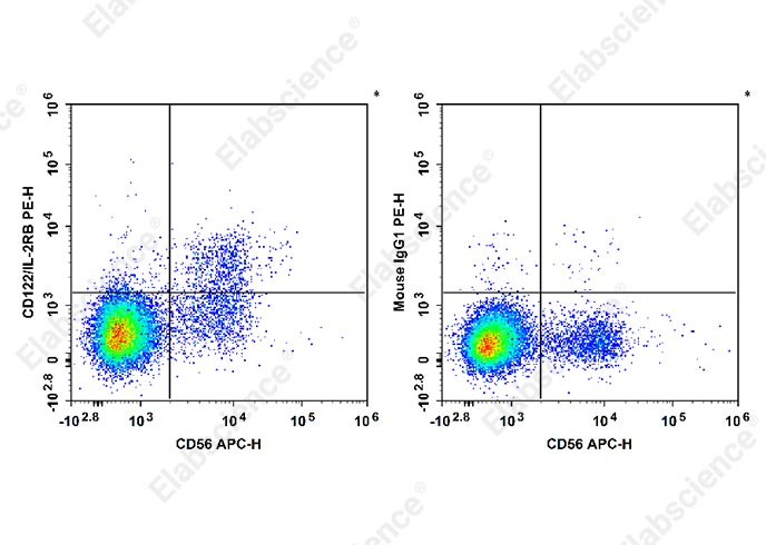 PE Anti-Human CD122/IL-2RB Antibody[TU27]-1