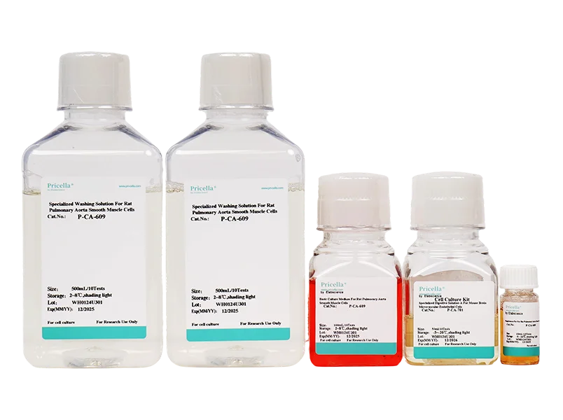 Rat Pulmonary Aorta Smooth Muscle Cells Isolation and Culture Kit