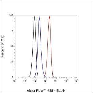 Recombinant ALDH7A1 Monoclonal Antibody - small - 8