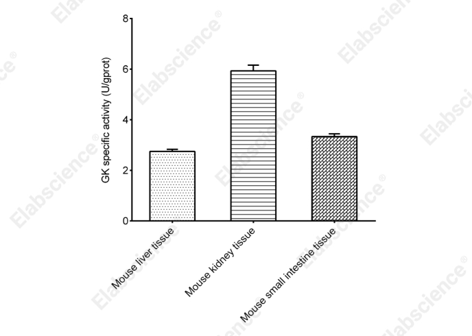 Glycerol Kinase (GK) Acitivity Colorimetric Assay Kit - 2