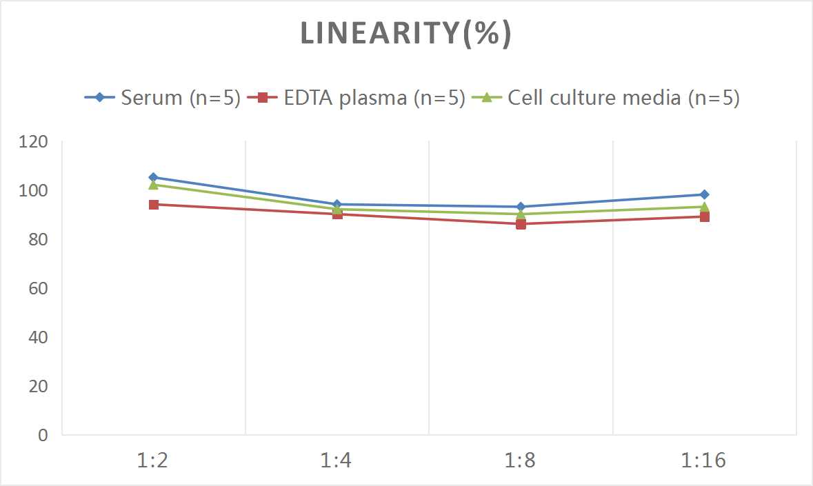 High Sensitivity Rat TNF-α(Tumor Necrosis Factor Alpha) ELISA Kit-产品推荐-4