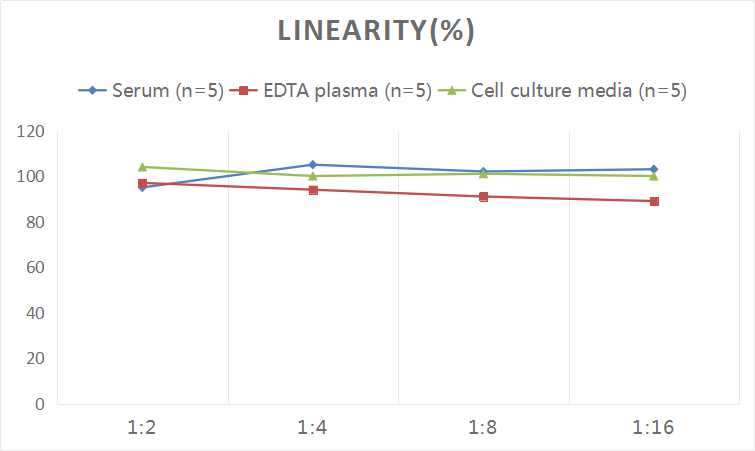 Human Bcl-2(B-cell Leukemia/Lymphoma 2) ELISA Kit-1