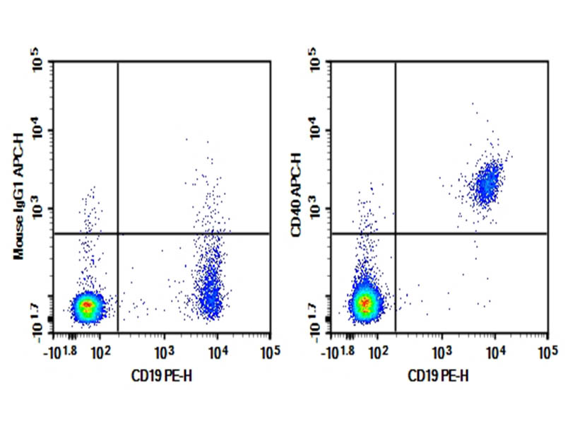 Purified Anti-Human CD40 Antibody[5C3]-searchlist-1