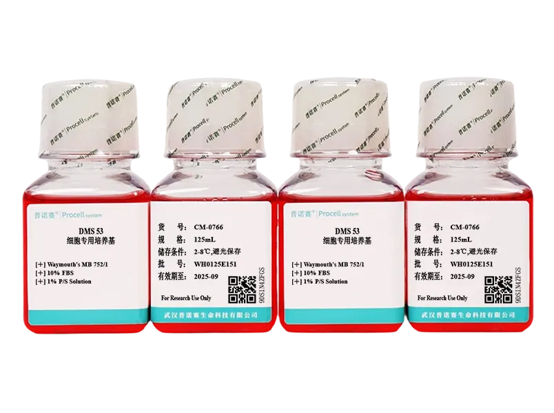 https://789.bio/ec/zKHpT3xb