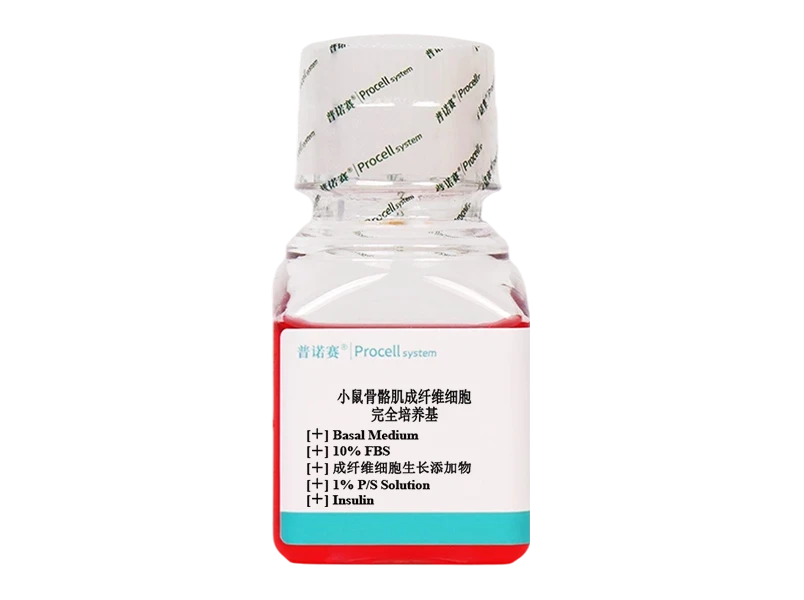 https://789.bio/ec/zMEOiOmW