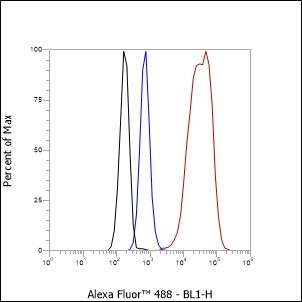 Recombinant HMGB1 Monoclonal Antibody - small - 5