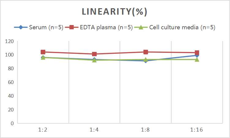 Mouse aFP (Alpha-Fetoprotein) ELISA Kit - small - 2