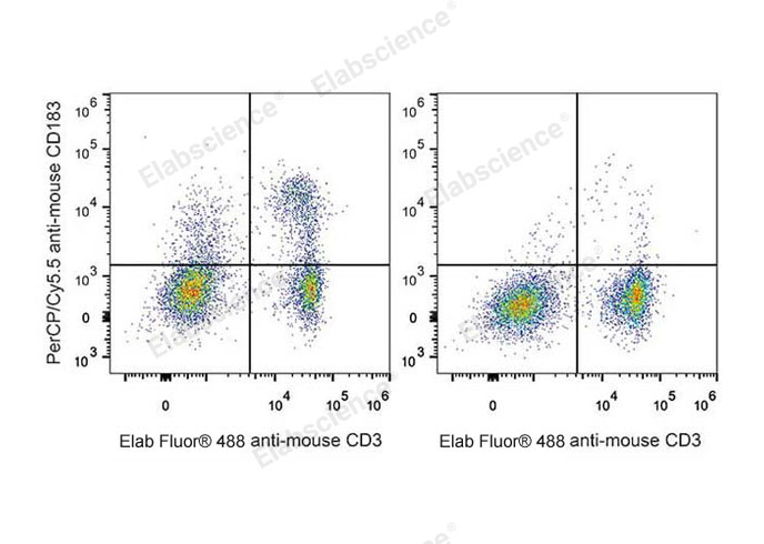 C57BL/6 murine splenocytes are stained with PerCP/Cyanine5.5 Anti-Mouse CD183/CXCR3 Antibody and Elab Fluor® 488 Anti-Mouse CD3 Antibody (Left). Splenocytes stained with Elab Fluor® 488 Anti-Mouse CD3 Antibody (Right) are used as control.