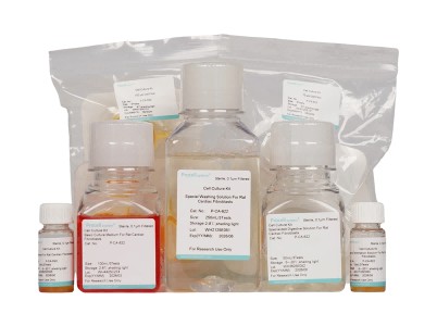 Rat Cardiac Fibroblast Isolation and Culture Kit