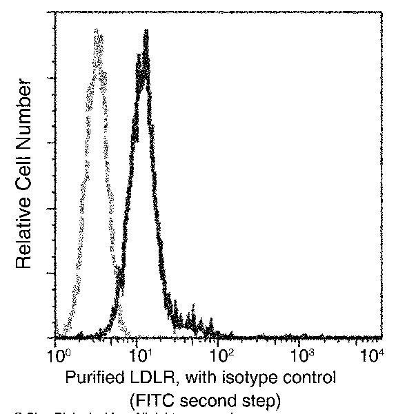 Recombinant LDLR/LDL Receptor Monoclonal Antibody - small - 2