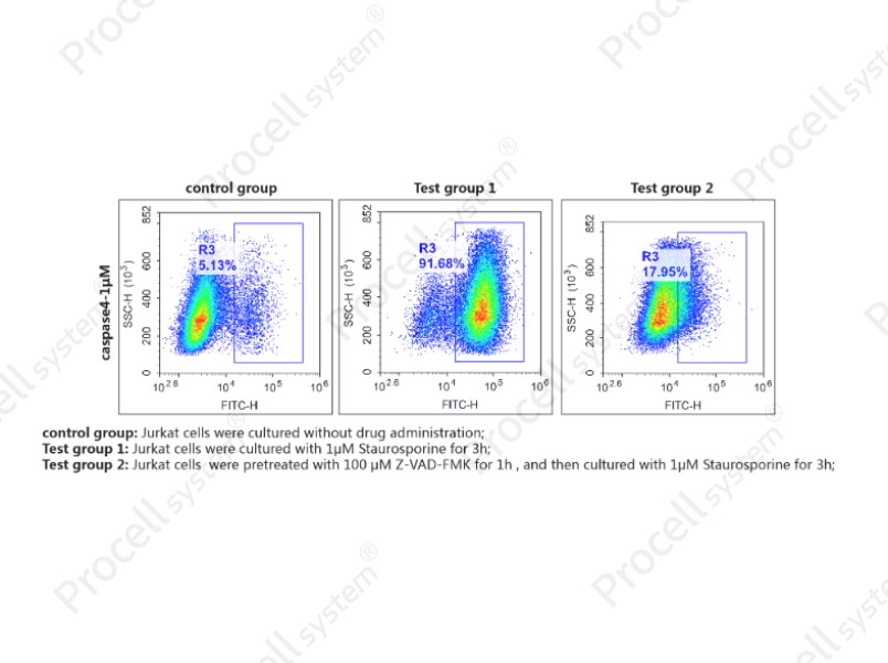 Caspase 4 Activity Detection Substrate for Flow Cytometry