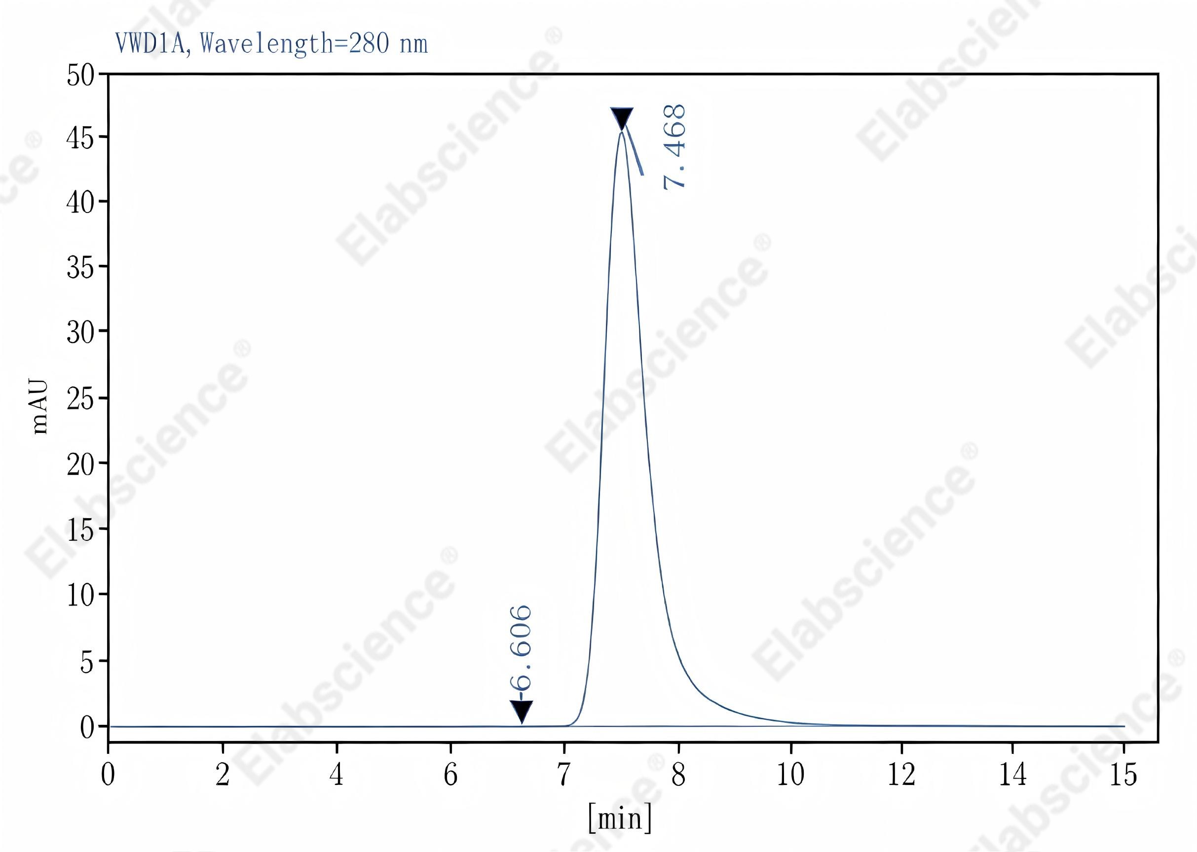 Purified Anti-Rat Cd8a Antibody[OX-8], Functional Grade - 2