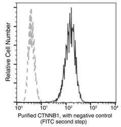 Recombinant beta-Catenin/CTNNB1 Monoclonal Antibody - small - 4