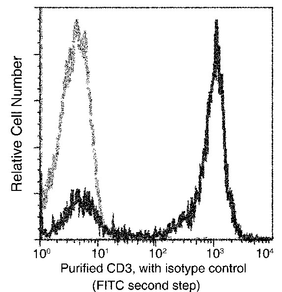 Recombinant CD3D & CD3E Monoclonal Antibody - small - 4