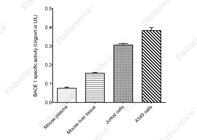 β-Secretase 1 (BACE 1) Activity Fluorometric Assay Kit - 2