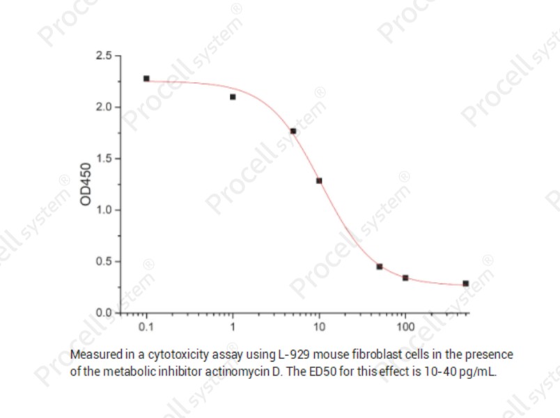 TNF-α/TNFA/TNFSF2, Human, RecombinantTNF-α/TNFA/TNFSF2, Human, Recombinant - 2