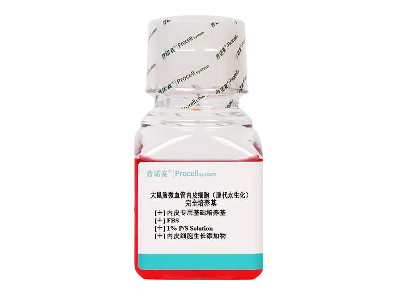 https://789.bio/ec/zmVDNhlG