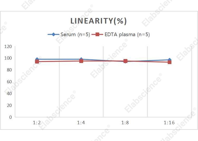 QuicKey Pro Rat sCD14 (Soluble Cluster of Differentiation 14) ELISA Kit - 2