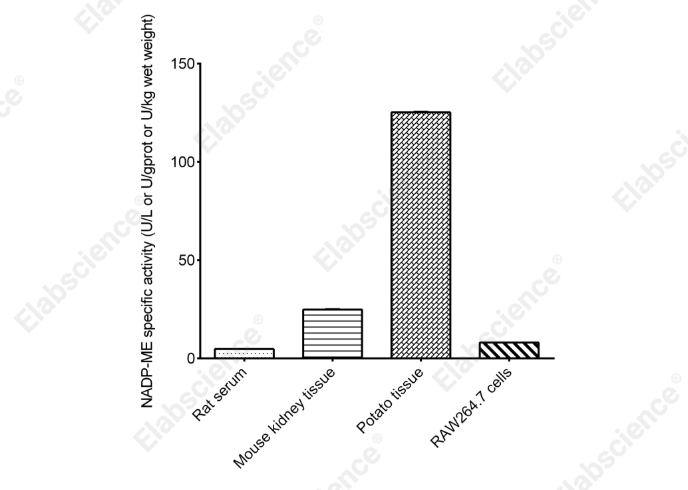 NADP-Malic Enzyme (NADP-ME) Activity Colorimetric Assay Kit - 1