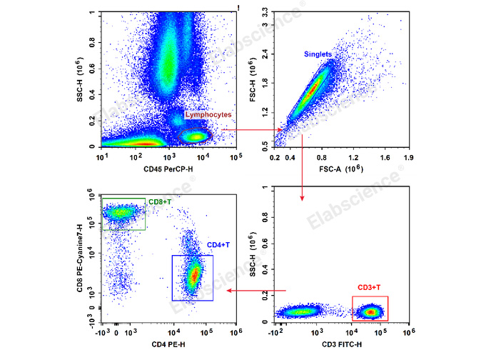 Human peripheral blood lymphocytes are stained with Anti-Human CD3-FITC/CD4-PE/CD8a-PE-Cyanine7/CD45-PerCP.